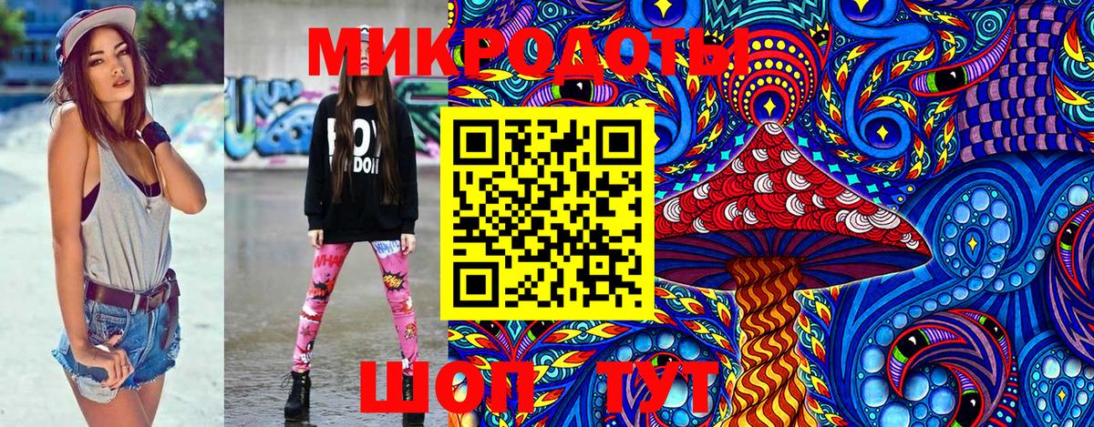 Качканар  Псилоцибиновые грибы Psilocybe  Вход с VPN 